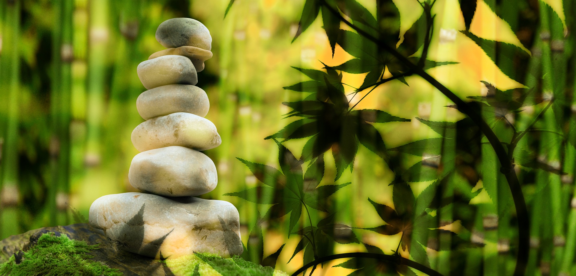 Die transformative Kraft der Spiritualität für die Psychotherapie